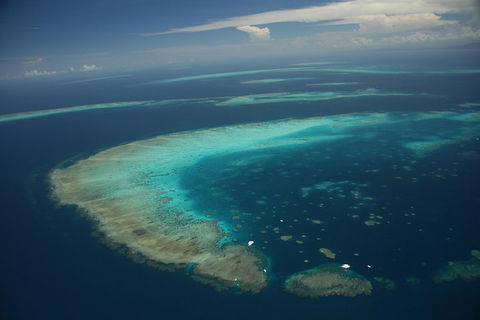 Great Barrier Reef Day Cruise From Cairns Including Snorkeling And Marine Biologist Presentation - Accommodation Great Ocean Road 1