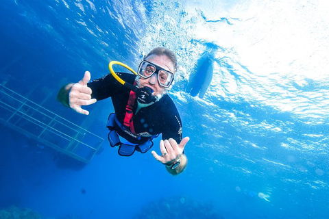 Great Barrier Reef Day Cruise From Cairns Including Snorkeling And Marine Biologist Presentation - Accommodation Great Ocean Road 3