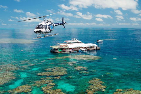 Great Barrier Reef Day Cruise From Cairns Including Snorkeling And Marine Biologist Presentation - Accommodation Great Ocean Road 5