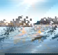 Brisbane Kayak Tour