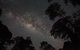Evening Rainforest & Glow Worm Experience - thumb 4