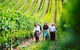 Tasmanian Wine Tour - thumb 0