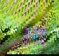 Tasmanian Wine Tour - Accommodation Great Ocean Road