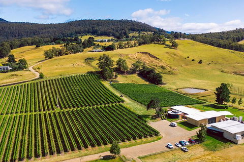 Tasmanian Wine Tour - Accommodation Great Ocean Road 4