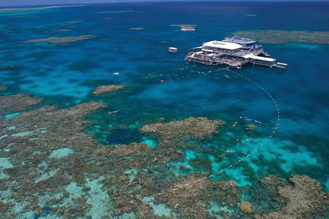 Ultimate 3-Day Great Barrier Reef Cruise Pass - Accommodation Great Ocean Road 3