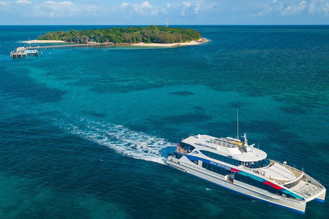 Ultimate 3-Day Great Barrier Reef Cruise Pass - Accommodation Great Ocean Road 4