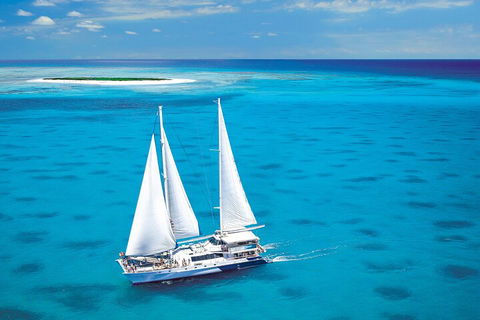 Ultimate 3-Day Great Barrier Reef Cruise Pass - Accommodation Great Ocean Road 5