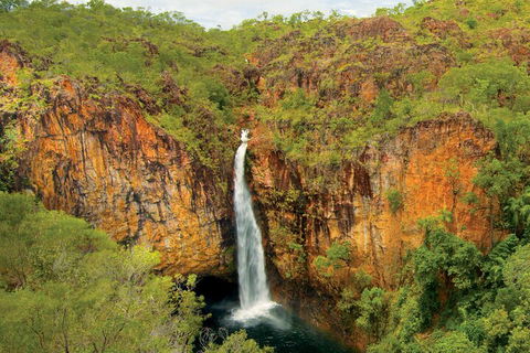 7 Days Darwin, Kakadu National Park, Katherine Gorge Touring Package - Accommodation Great Ocean Road 3