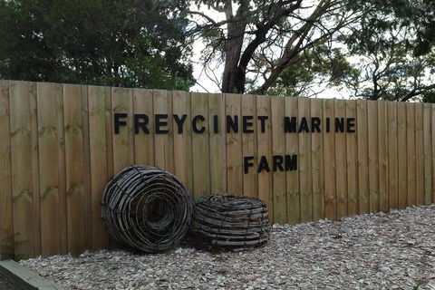Active Day Tour One-Way From Launceston To Hobart Via Wineglass Bay - Accommodation Great Ocean Road 3