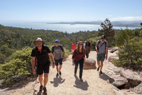 3-Day Tasmania Combo: Hobart To Launceston Active Tour - Accommodation Great Ocean Road 3