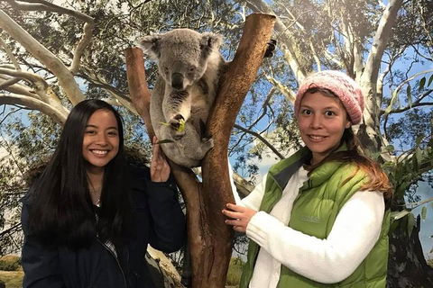 The Ultimate Sydney Attractions Pass - Accommodation Great Ocean Road 1