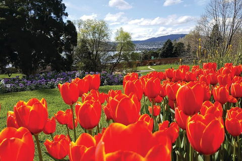 Hobart City Sightseeing Tour Including MONA Admission - Accommodation Great Ocean Road 4