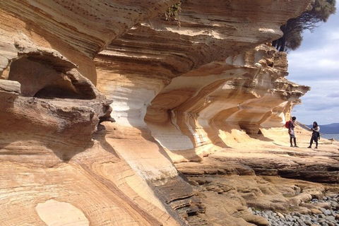 Hobart Minibus Full-Day Private Tour - Accommodation Great Ocean Road 0
