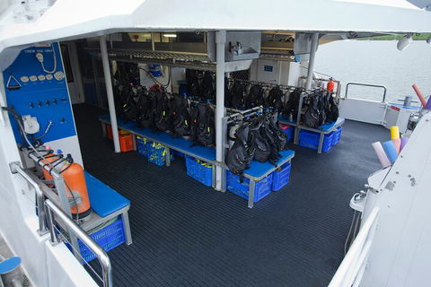Silverswift Outer Great Barrier Reef Dive And Snorkel Cruise From Cairns - Accommodation Great Ocean Road 0