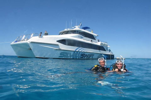 Silverswift Outer Great Barrier Reef Dive And Snorkel Cruise From Cairns - Accommodation Great Ocean Road 4