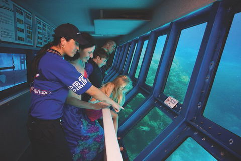 Great Barrier Reef Adventure From Cairns - Accommodation Great Ocean Road 0