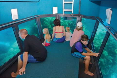 Great Barrier Reef Adventure From Cairns - Accommodation Great Ocean Road 1