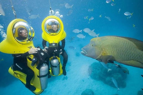 Great Barrier Reef Adventure From Cairns - Accommodation Great Ocean Road 2