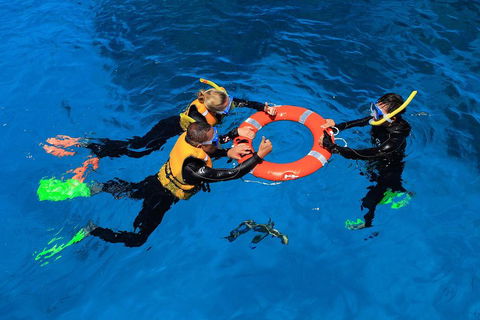 Great Barrier Reef Adventure From Cairns - Accommodation Great Ocean Road 3
