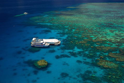 Great Barrier Reef Adventure From Cairns - Accommodation Great Ocean Road 4