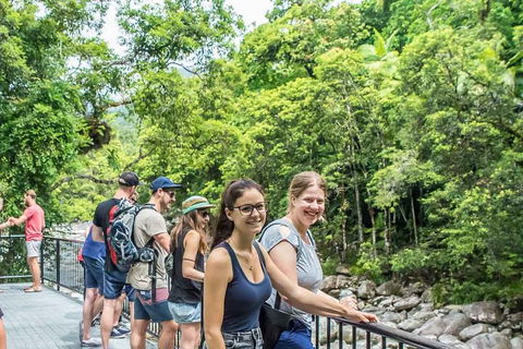 Cape Tribulation, Mossman Gorge, And Daintree Rainforest Day Trip From Cairns Or Port Douglas - Accommodation Great Ocean Road 0