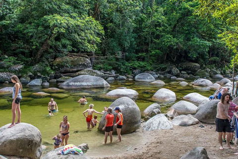 Cape Tribulation, Mossman Gorge, And Daintree Rainforest Day Trip From Cairns Or Port Douglas - Accommodation Great Ocean Road 1