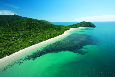 Cape Tribulation, Mossman Gorge, And Daintree Rainforest Day Trip From Cairns Or Port Douglas - Accommodation Great Ocean Road 2