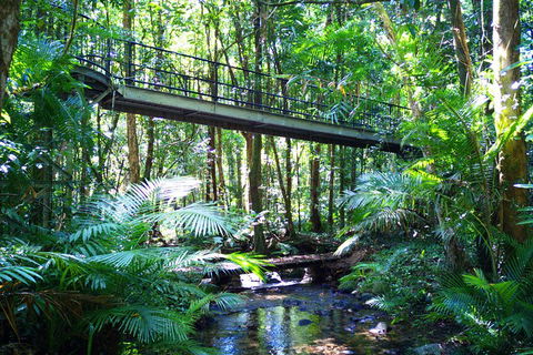 Cape Tribulation, Mossman Gorge, And Daintree Rainforest Day Trip From Cairns Or Port Douglas - Accommodation Great Ocean Road 3