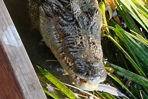 Litchfield Park Adventures And Jumping Crocodile Cruise + Butterfly Farm - Accommodation Great Ocean Road 1