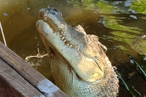 Litchfield Park Adventures And Jumping Crocodile Cruise + Butterfly Farm - Accommodation Great Ocean Road 5