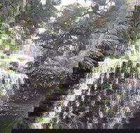 6-Day Hearty Tasmania Tour Tasmania in a Circle - Accommodation Great Ocean Road