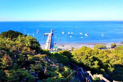 Mornington Peninsula Sightseeing Tour For 2-6 Guests. - Accommodation Great Ocean Road 1