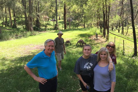 Small Group Blue Mountains Day Tour From Sydney - Accommodation Great Ocean Road 1