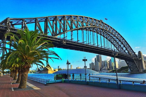 The Rocks & Darling Harbour With A Local: Private & Personalized - Accommodation Great Ocean Road 2