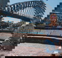 Sydney Private Tours by Locals 100 Personalized See the City Unscripted - Accommodation Great Ocean Road
