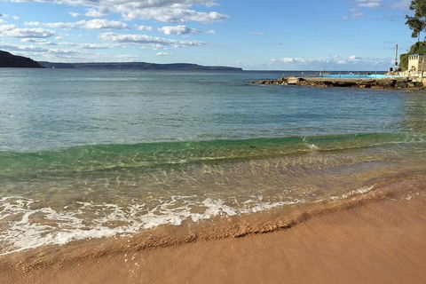 Small-Group Sydney's Northern Beaches And Ku-ring-gai National Park Bus Tour - Accommodation Great Ocean Road 1