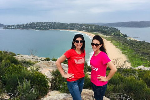 Small-Group Sydney's Northern Beaches And Ku-ring-gai National Park Bus Tour - Accommodation Great Ocean Road 3