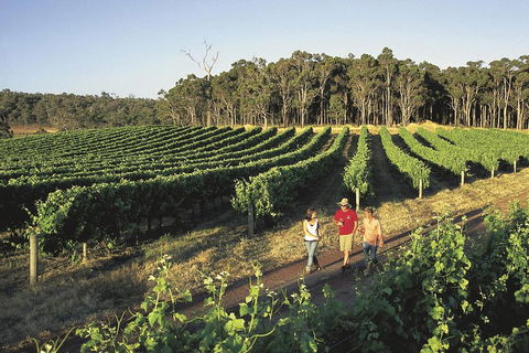 Margaret River, Caves, Wine And Cape Leeuwin Lighthouse Tour From Perth - Accommodation Great Ocean Road 1