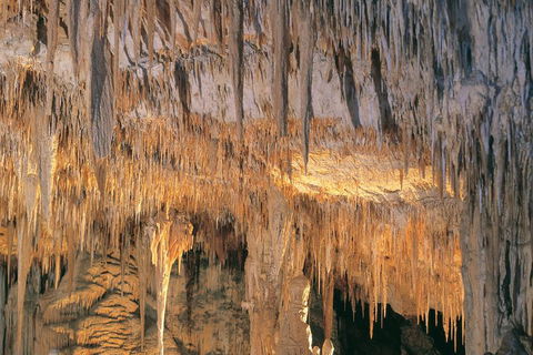 Margaret River, Caves, Wine And Cape Leeuwin Lighthouse Tour From Perth - Accommodation Great Ocean Road 3