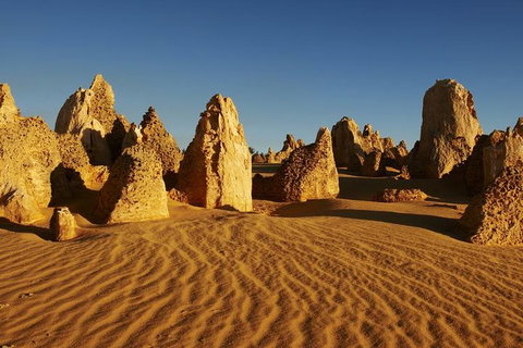 Full Day Pinnacle Desert Explorer From Perth Including Hillarys And Lancelin Sandboarding - Accommodation Great Ocean Road 3