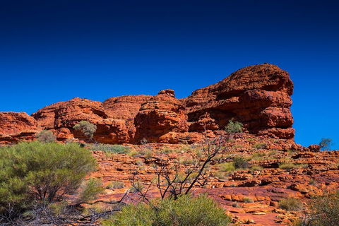 7-Day Guided Tour Of Alice Springs With Accommodation Included - Accommodation Great Ocean Road 4