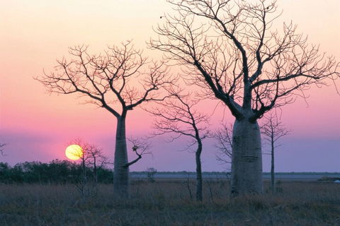 8-Day Outback Experience From Queensland - Accommodation Great Ocean Road 5