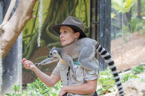 Currumbin Wildlife Sanctuary General Entry Ticket - Accommodation Great Ocean Road 1