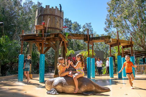 Currumbin Wildlife Sanctuary General Entry Ticket - Accommodation Great Ocean Road 5