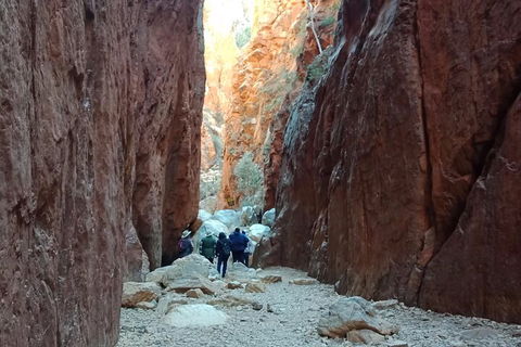 West MacDonnell Private Tour With Transfer - Accommodation Great Ocean Road 0