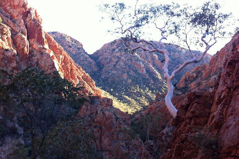 West MacDonnell Private Tour With Transfer - Accommodation Great Ocean Road 3