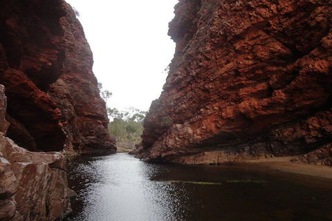 West MacDonnell Ranges Half - Day Tour - Accommodation Great Ocean Road 4
