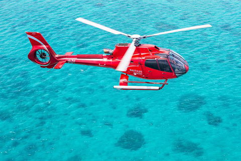 Helicopter And Cruise Packages From Port Douglas - Accommodation Great Ocean Road 5