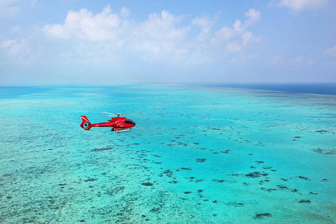 Port Douglas Scenic Flights - Accommodation Great Ocean Road 0