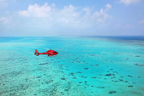 Port Douglas - Cruise And 10 Minute Scenic Flight - Accommodation Great Ocean Road 1